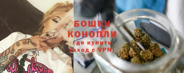 PSILOCYBIN Гусиноозёрск