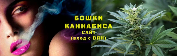 PSILOCYBIN Гусиноозёрск