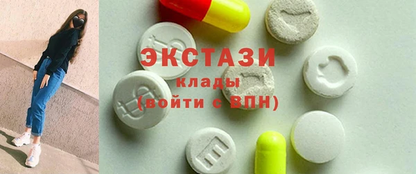 индика Протвино