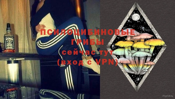 индика Протвино