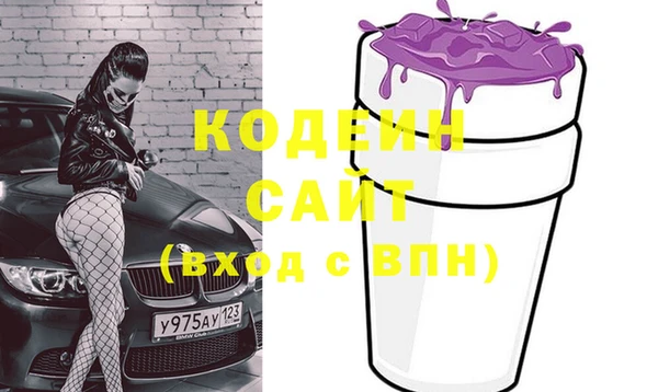 индика Протвино