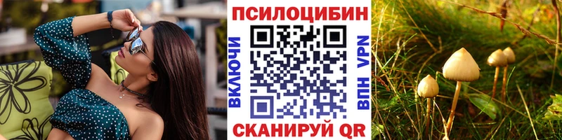 наркошоп  Лебедянь  Галлюциногенные грибы GOLDEN TEACHER 